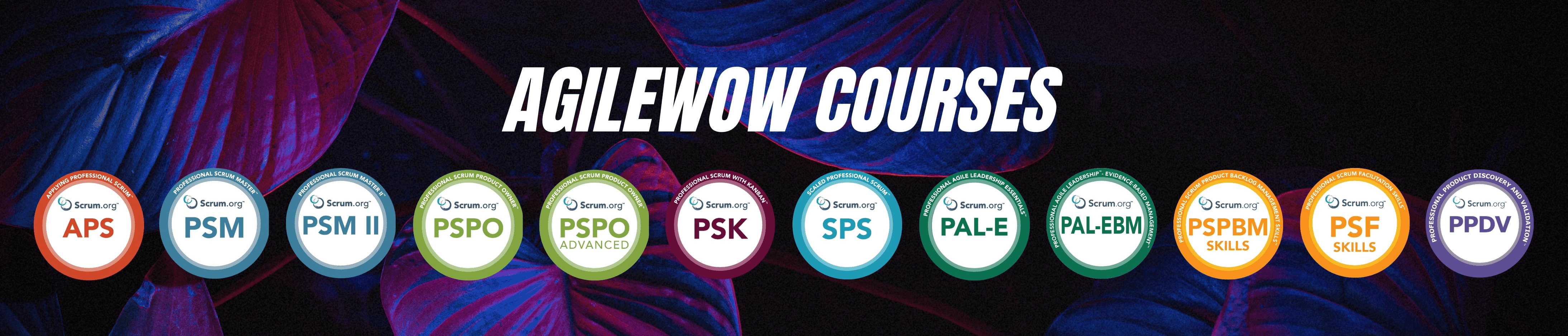 AgileWOW Courses
